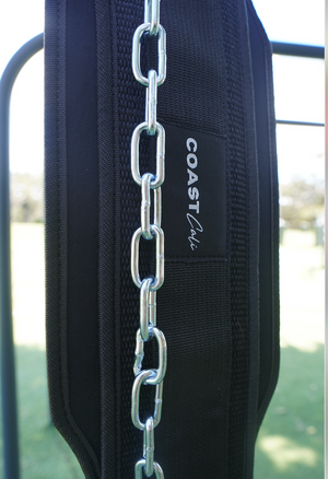 Close up of dip belt and chain at an outdoor gym